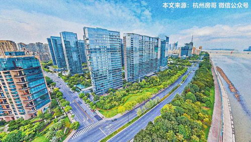 中国的域名，现状、挑战与未来展望