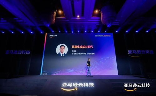 云主机的奥秘，探索云计算时代的计算新纪元