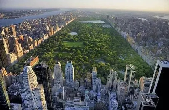 绿色空间评测，城市中的绿色喘息之地