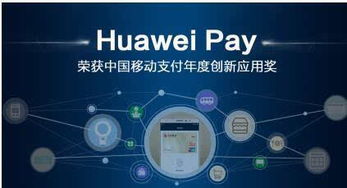 42互联评测，深度解析互联网+时代下的创新与变革