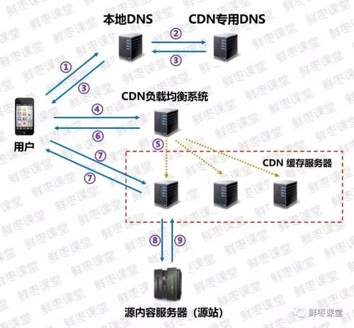 网络中的隐形桥梁，解析域名系统（DNS）与IP地址转换的奥秘
