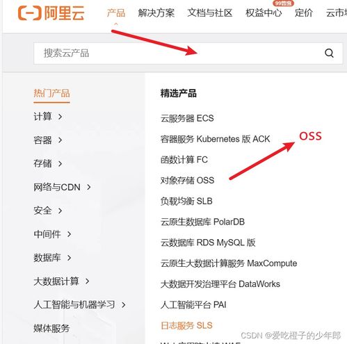 代码上传阿里云服务器以后在哪里能看到