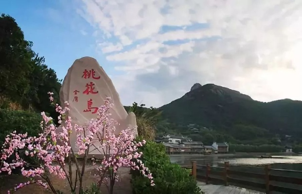 桃花岛测评，一个浪漫与冒险并存的梦幻之地