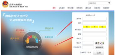 角门网站建设公司，解析企业网站域名选择的艺术