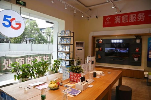 建站成本与选择，静态网站与动态网站的预算考量