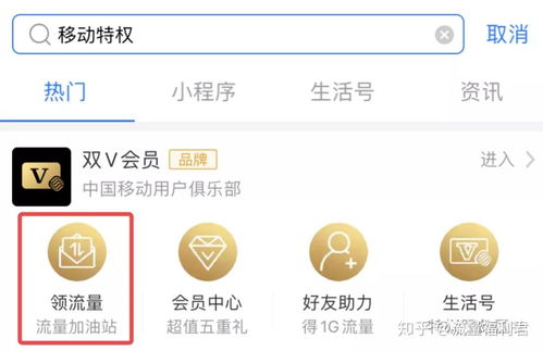 金万维免费域名，长久陪伴的承诺