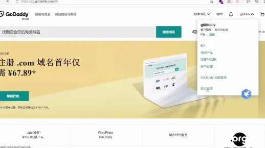 Godaddy域名续费优惠码，节省成本，高效管理您的在线资产