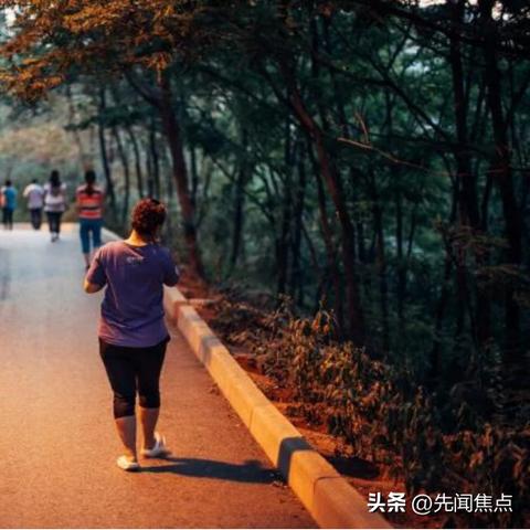 网居时代评测，网络生活，重塑我们的生活方式