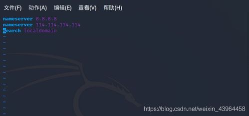 请问域名商的域名解析和ISP的DNS域名解析有哪些不同