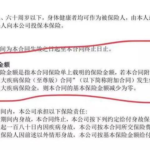 评测中国福网，以大数据剖析其优劣势及未来发展