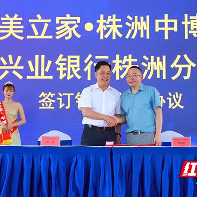 上海中南网络评测，解析互联网巨头下沉市场的战略布局与机遇