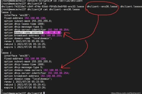 /etc/resolv.conf