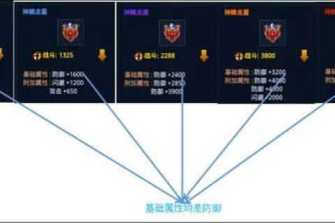 网眼免费空间的数据管理，探索域名解析的奥秘