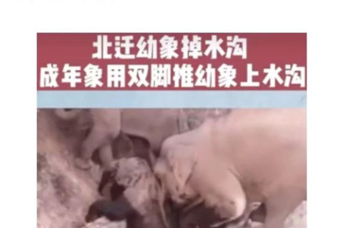 南京鸣谷科技，揭秘评测背后那道光与影