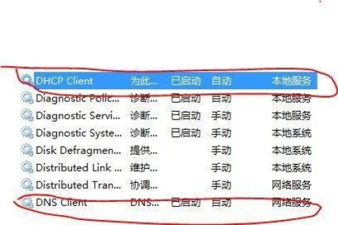单项选择，DNS的中文含义
