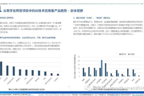 中耀网络评测，深度剖析与未来展望