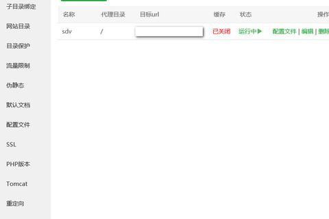 一个网站可以绑定两个域名吗？详解与操作指南