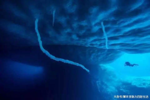 冰域信息评测，揭秘深海冰域中的未知信息