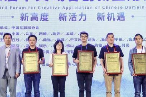 新网域名注册审核缓慢，为何如此恶心？应对策略与建议