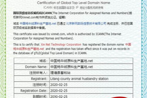 中国国家顶级域名证书的作用与意义