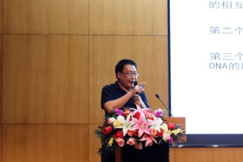 楠羽网络评测，2024年最新款游戏机高端测评