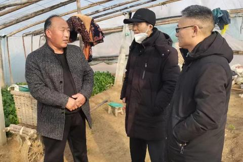 振兴数据评测，湖北华夏数据评测引领新时代的数字化转型