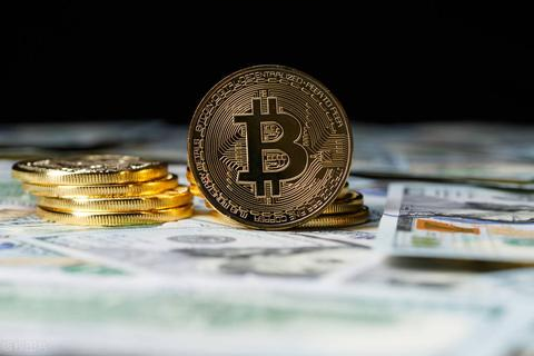 亿万网络评测，解锁你的数字生活新体验