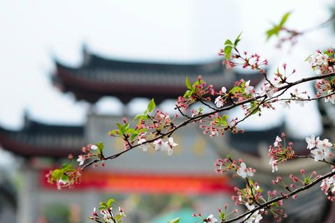 帮我看看这个免费云主机靠谱不，一场关于免费云主机的深度剖析