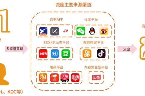 中域频道评测，深入剖析传媒新势力的创新实践与发展潜力