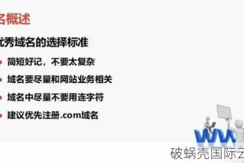 深度剖析，中国域名网评测—性能、安全与创新引领的高性价比之选
