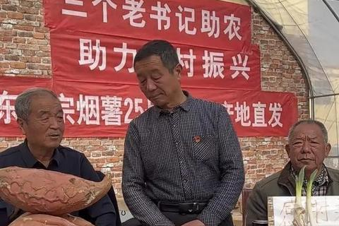 精英网络评测，精准把握互联网脉搏，洞悉未来科技趋势