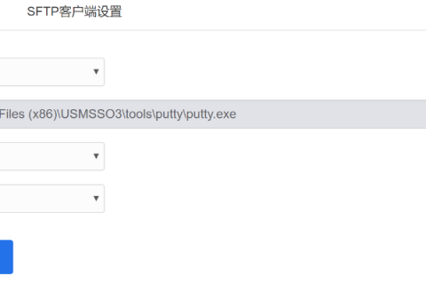解决servUFTP域名捆绑问题，在线等待与高效策略