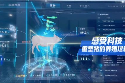 酷啦网络评测，挖掘数字时代下的娱乐新宠儿，创新体验与性能评测全解析