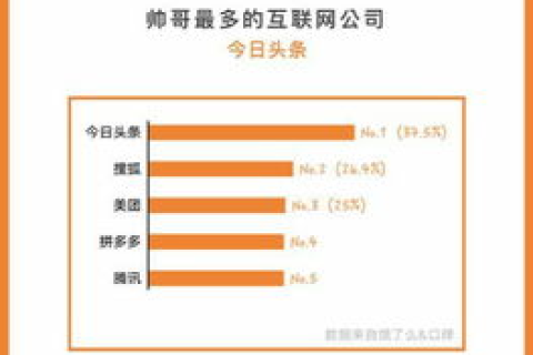 沈阳枫叶网络评测，透视优质网络服务商的标杆
