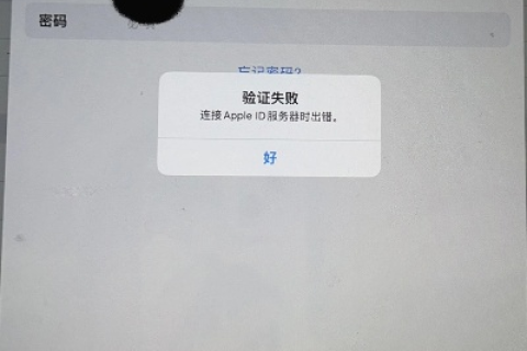 苹果平板电脑iPad域名解析错误怎么办