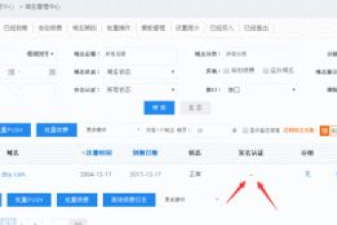 西部数码购买CN域名后未进行实名认证的风险与解决方案