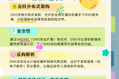 11在域名系统中的独特作用与意义