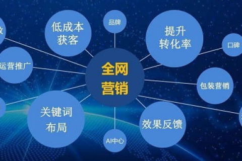 新的网站域名购买年限与SEO算法的影响，深度解析