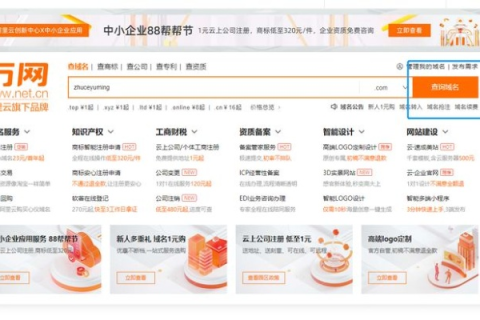 买了域名怎么在阿里云服务器备案