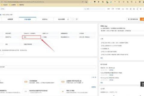 几个域名怎么一起用一个服务器？