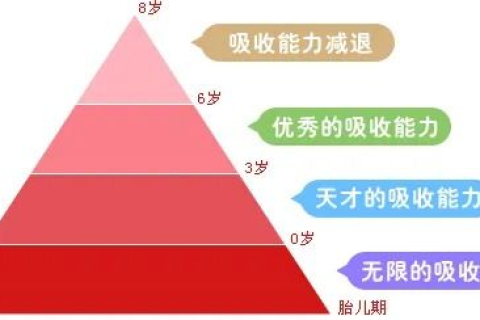 深度解析，东方域名评测—专业性、实用性与用户体验的完美结合