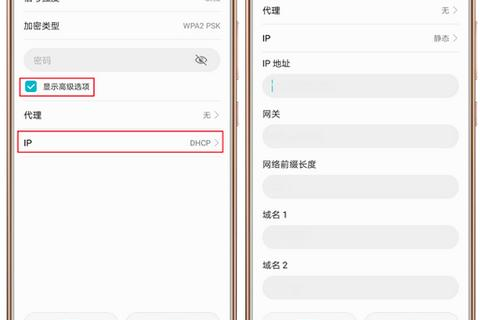 静态域名解析与动态域名解析，深度解析与比较