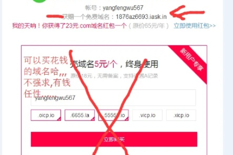 花生壳免费域名能用多少天？