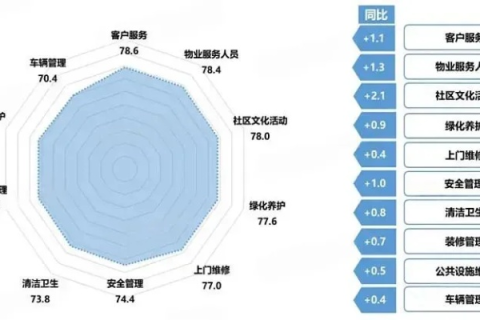 三三网络评测，深度剖析互联网时代的网络服务质量与用户体验