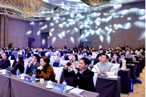 天虎网络评测，深度剖析互联网创业平台的机遇与挑战