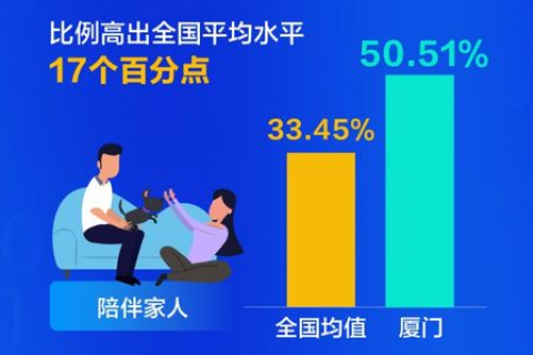 深入剖析，厦门随缘网络评测背后的奥秘与技术魔力