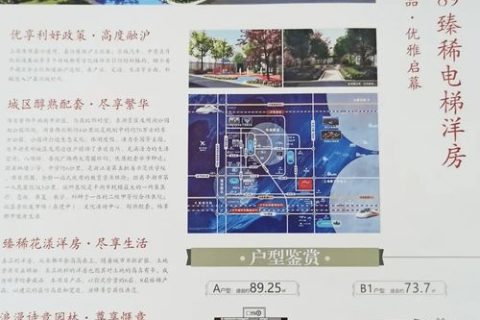 泳欣网络评测，深度解析2023年全网最受欢迎的社交媒体工具