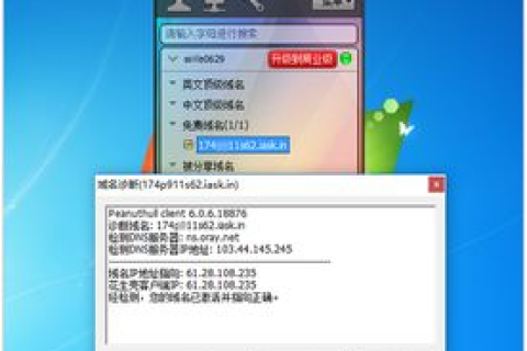 花生壳动态域名申请后设置访问指南，从申请到成功访问的详细步骤