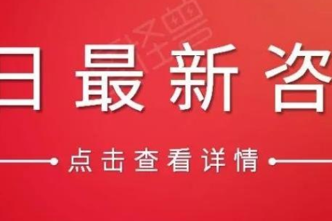 如何申请域名邮箱，详细步骤与注意事项