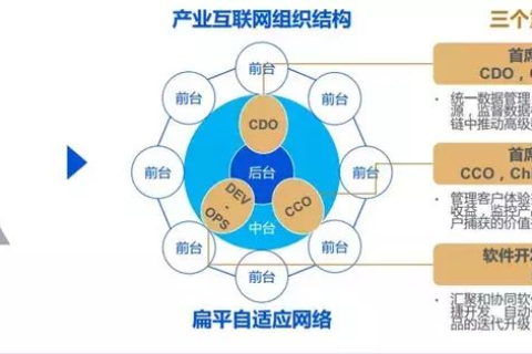 九九互联评测，深挖互联网时代的用户体验与创新